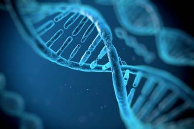 Следы неизвестных предков обнаружили в геноме человека
