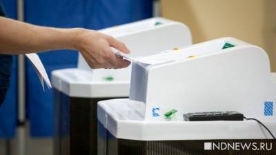 Почти 100 тысяч голосов на довыборах в заксо посчитают с помощью КОИБов