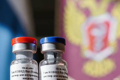 Россия произведет полмиллиарда вакцин от коронавируса за рубежом