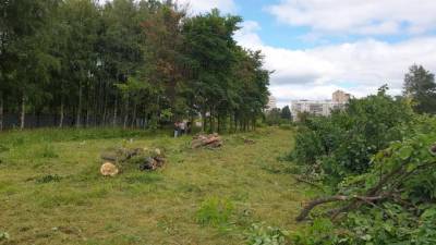 Правительство Петербурга собирается обжаловать решение городского суда по Муринскому парку
