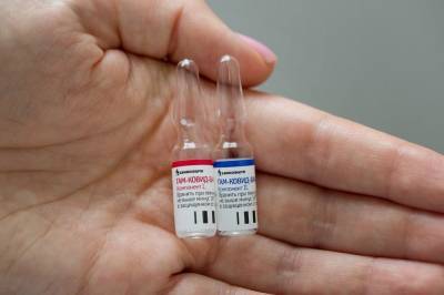 Названы сроки начала массовой вакцинации от коронавируса в России