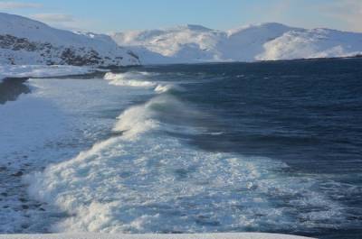 Минприроды предложило увеличить коэффициенты для расчёта ущерба северным морям