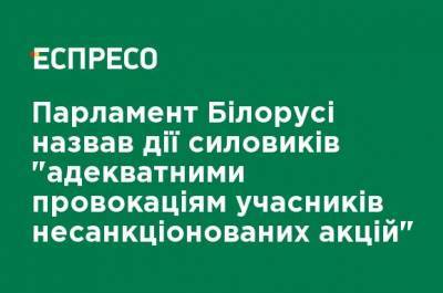Парламент Беларуси назвал действия силовиков "адекватными провокациям участников несанкционированных акций"