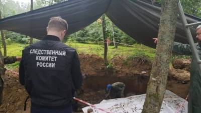 В Ленинградской области обнаружены останки расстрелянных людей