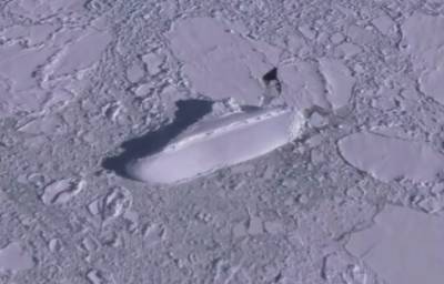 Загадочный "ледяной корабль" у берегов Антарктиды сбил с толку пользователей Google Maps