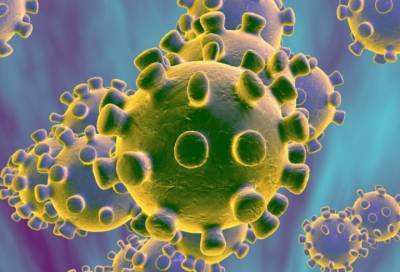 Немецкие ученые нашли способ снизить риск передачи коронавируса
