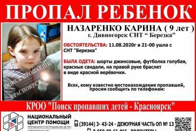 На дачах под Дивногорском пропала 9-летняя девочка