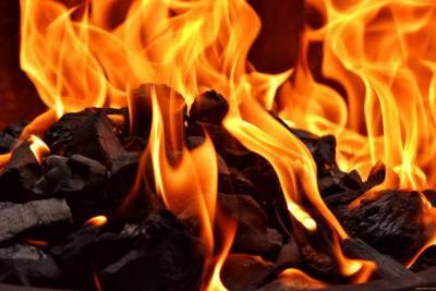 На севере Бурятии загорелся лес из-за неосторожного обращения с огнем