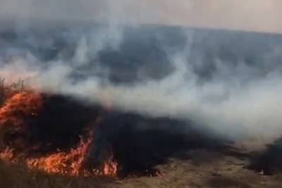 Под Новосибирском жители села спасают свои дома от лесного пожара