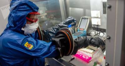 Грузия закупила 200 тысяч экспресс-тестов на коронавирус