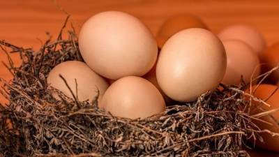 Лайфхак: Как проверить качество залежавшихся в холодильнике куриных яиц