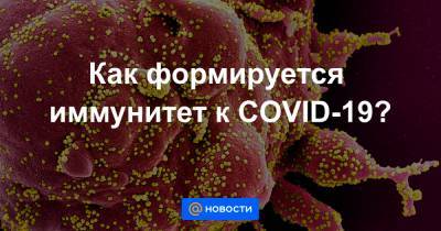Как формируется иммунитет к COVID-19?