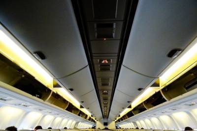 Кидал вещи и оскорблял: новосибирец получил условный срок за дебош на борту самолета