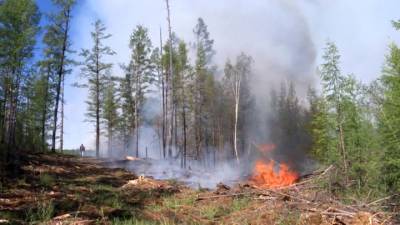 Лесные пожары в РФ: огнем охвачено 18 тысяч гектаров, режим ЧС введен в шести регионах