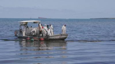 На Маврикий прибыли эксперты ООН для ликвидации последствий утечки нефти