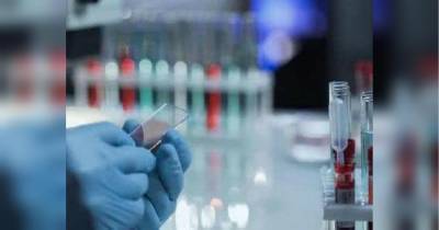 Рискованный эксперимент: в США и Германии раскритиковали путинскую вакцину от COVID-19