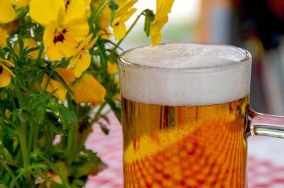 Ученые обнаружили неожиданную пользу от употребления пива