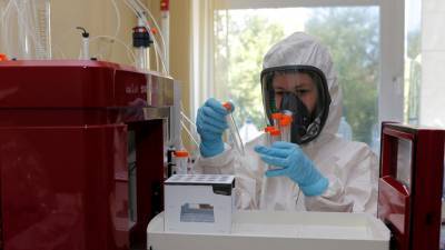 В России за сутки провели 244 тысячи тестов на коронавирус