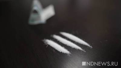 В Нидерландах обнаружили крупнейшую кокаиновую «прачечную»