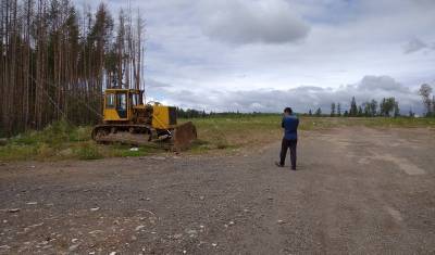 Расследование "НИ": какие чиновники и как именно уничтожают леса в Новой Москве