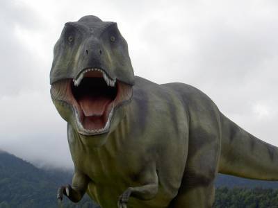 Житель Англии обнаружил на острове Уайт кости нового вида динозавров из семейства Тираннозавриды