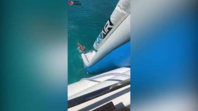 В Майами акула приплыла поздравить именинницу