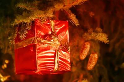 МО «Дворцовый Округ» заплатит за новогодние подарки