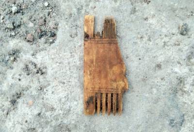 Археологи нашли старинный костяной гребень в Выборге