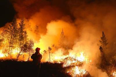 Стена пламени: опубликованы страшные кадры лесного пожара на Чукотке