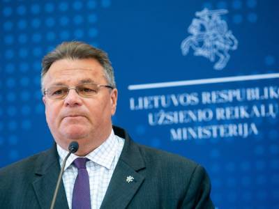 Глава МИД Литвы анонсировал скорое выступление Светланы Тихановской