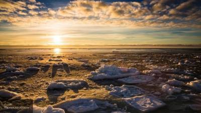 Junge Welt: ФРГ хочет начать борьбу за контроль над Арктикой