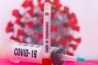В России за сутки выявлено 5102 заразившихся коронавирусом