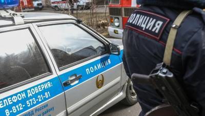 В Петербурге завели дело после нападения боевика из Дагестана на полицейских