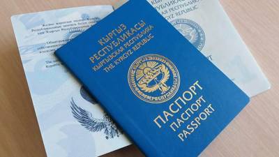 В киргизском правовом поле появятся «соотечественники с иностранным гражданством»