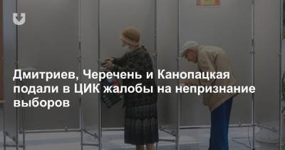 Дмитриев, Черечень и Канопацкая подали в ЦИК жалобы на непризнание выборов