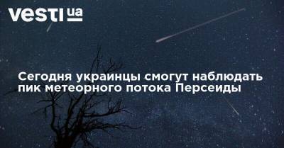 Сегодня украинцы смогут наблюдать пик метеорного потока Персеиды