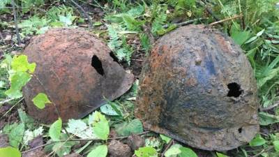 Поисковики нашли 17 останков красногвардейцев на Синявинских высотах
