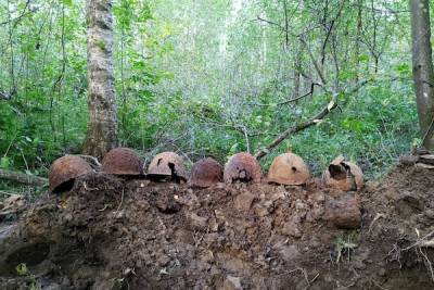 На Синявинских высотах нашли останки 17 красноармейцев