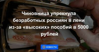 Чиновница упрекнула безработных россиян в лени из-за «высоких» пособий в 5000 рублей