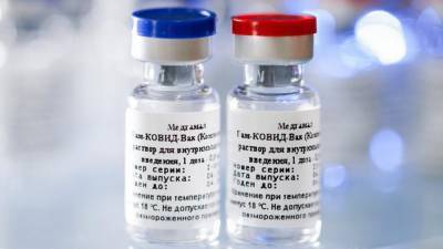 «Рискованный эксперимент на людях»: на Западе не поверили в безопасность российской вакцины от Covid-19