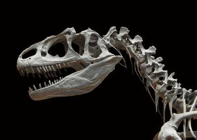 У берегов Великобритании обнаружены останки нового вида динозавров