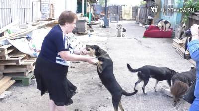 Верный друг лучше новых двух. Как собаки помогают одиноким ульяновским пенсионерам