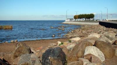 Власти Петербурга начнут восстанавливать пляжи у Финского залива в 2021 году