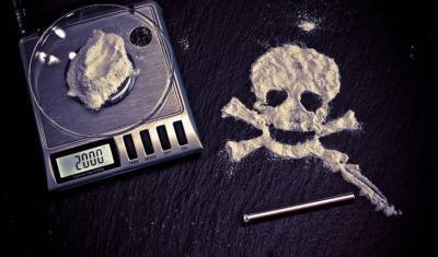 В Нидерландах «накрыли» крупнейшую кокаиновую «прачечную»