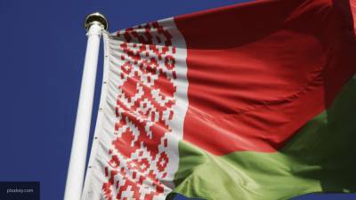 Литва и Латвия могут ввести санкции в отношении Белоруссии из-за выборов