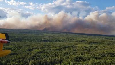 Масштабные пожары в лесах Канады: жителей готовят к эвакуации