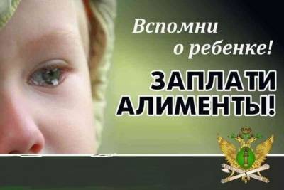 В Ярославской области злостный неплательщик алиментов отправится на полгода в колонию
