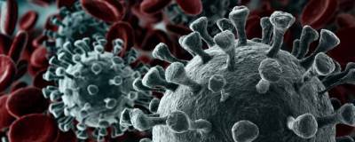 Ученые выяснили, почему от коронавируса страдают определенные органы
