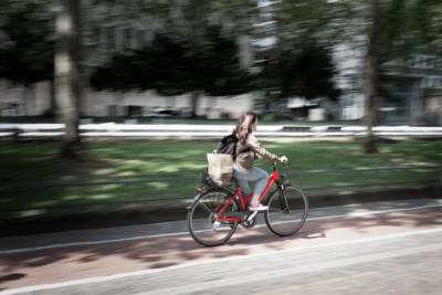 В Воронеже на проспекте Революции появится велодорожка