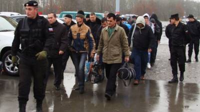 Депутата удивило предложение легализовать в РФ бордели для мигрантов